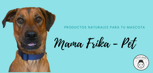 Medicina Herbal para tus Peludos Amigos