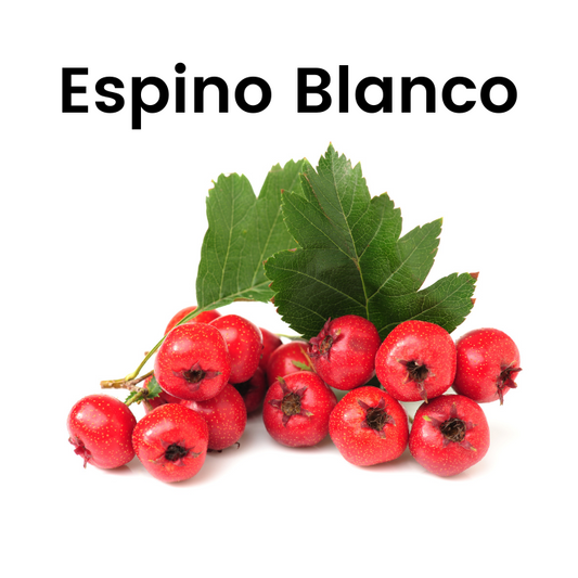 Espino Blanco
