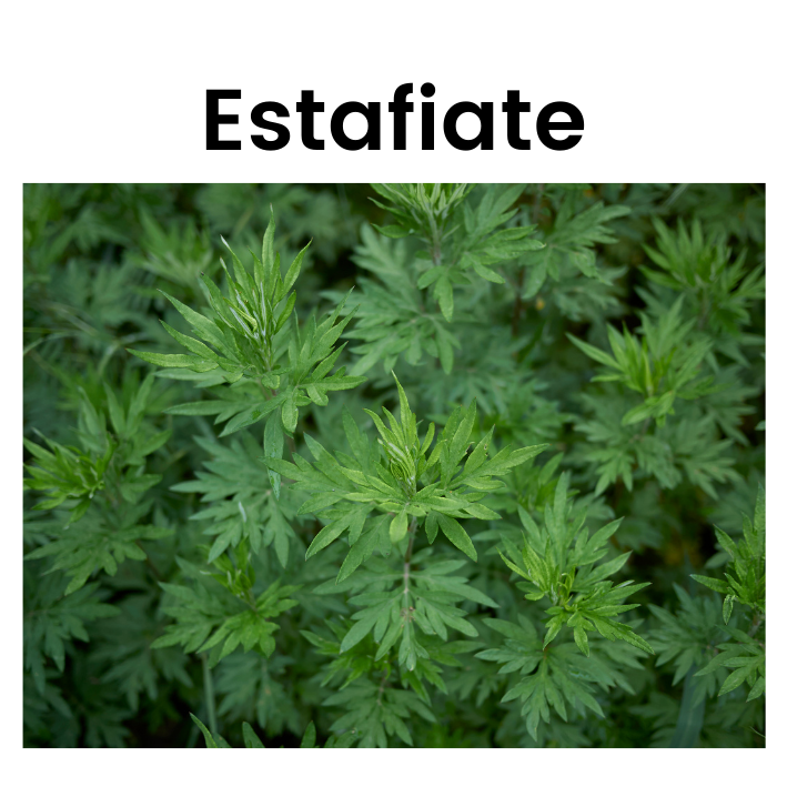 Estafiate