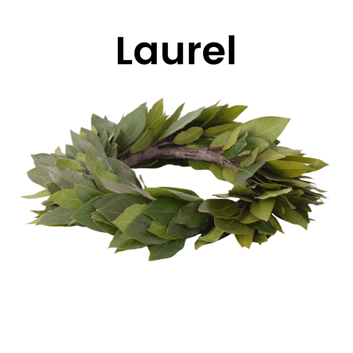 Laurel