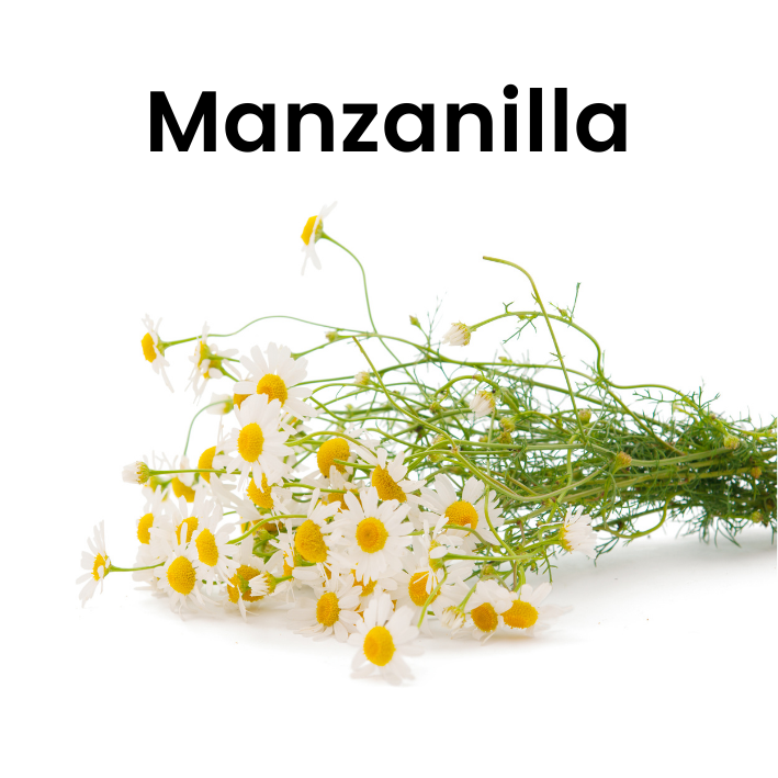 Manzanilla