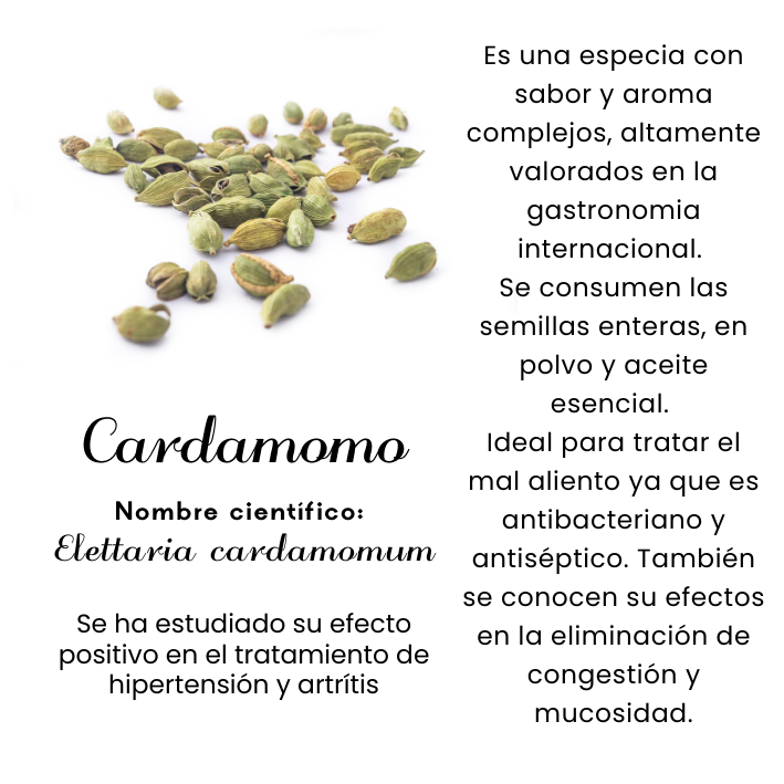 Cardamomo