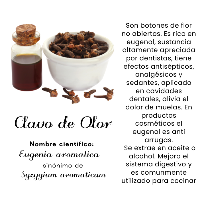 Clavo de Olor