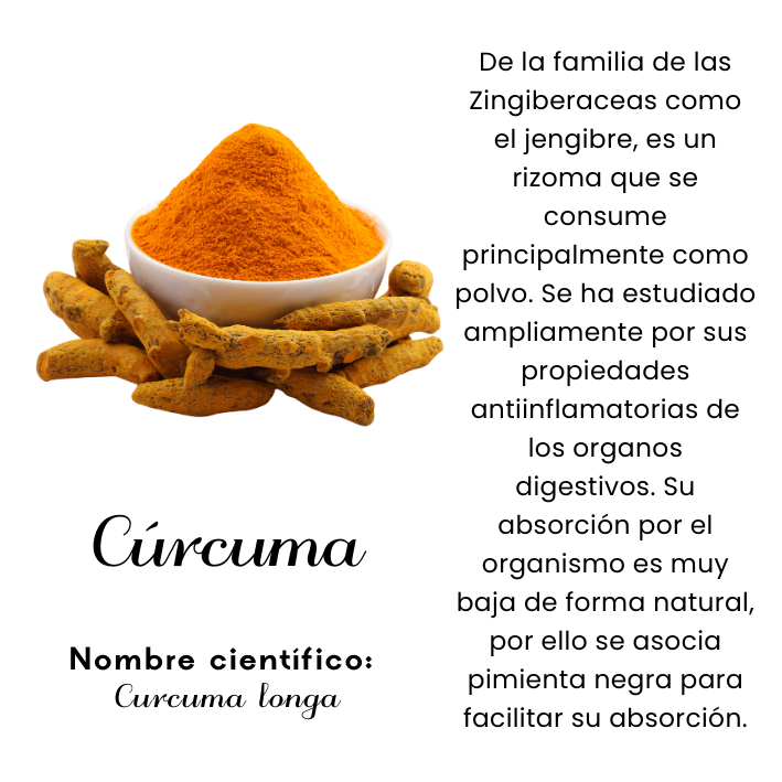 Cúrcuma