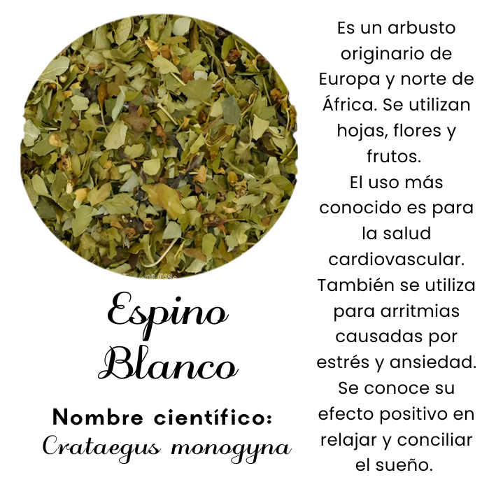 Espino Blanco