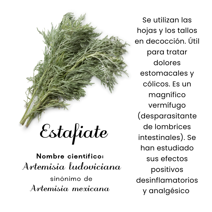 Estafiate