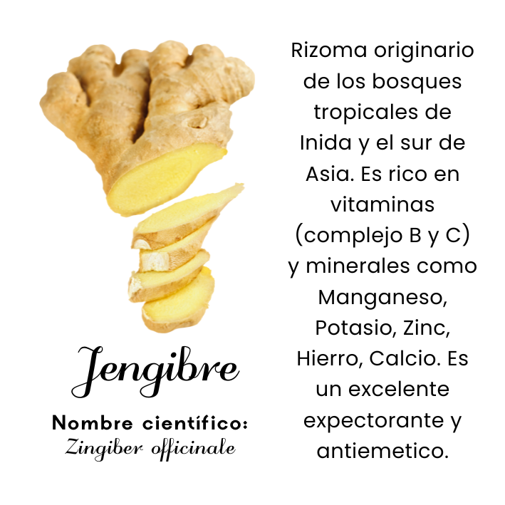 Jengibre