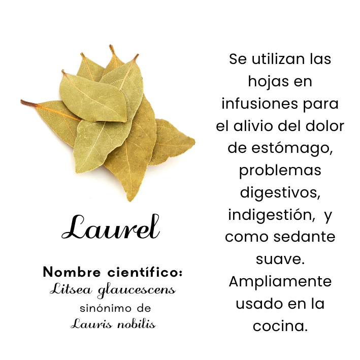 Laurel