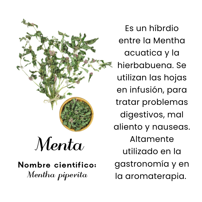 Menta