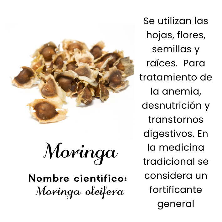 Moringa