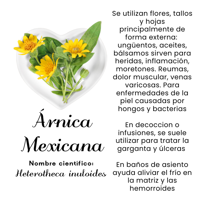 Árnica Mexicana