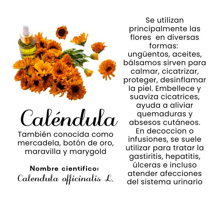 Caléndula