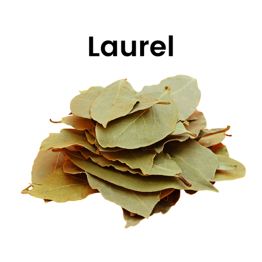 Laurel