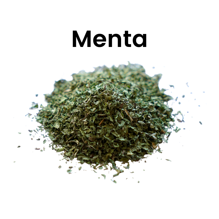 Menta