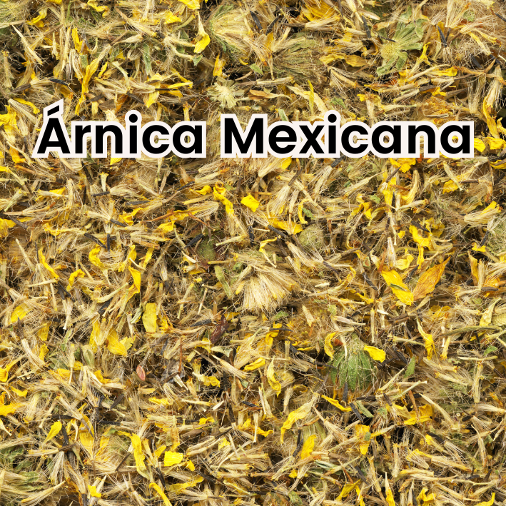 Árnica Mexicana
